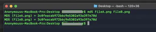 mac-terminal-md5-hash-two-files