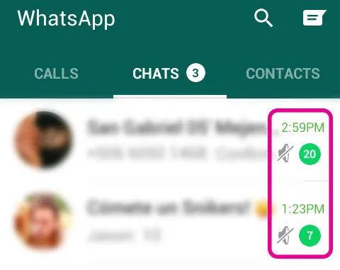 muted-icon-on-whatsapp-messages