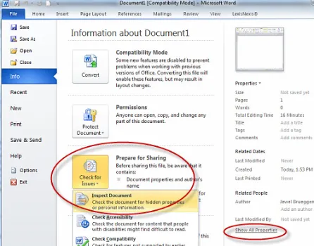 remove-metadata-word