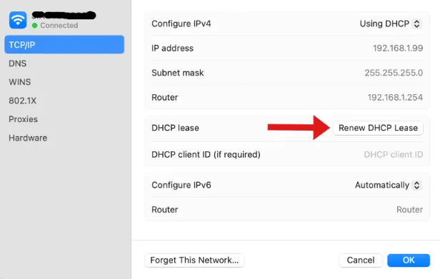 renew-DHCP-lease-mac-settings