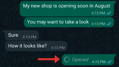 whatsapp-view-once-changed-to-opened