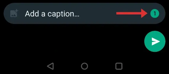 whatsapp-view-once-icon-turned-green