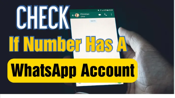 Check-If-Number-Valid-Has-WhatsApp-Account-Or-Not