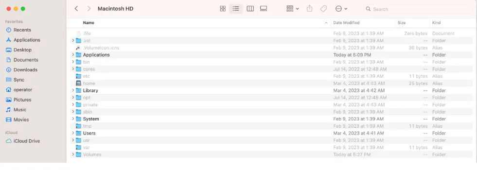 delete-hidden-ghost-files-on-mac